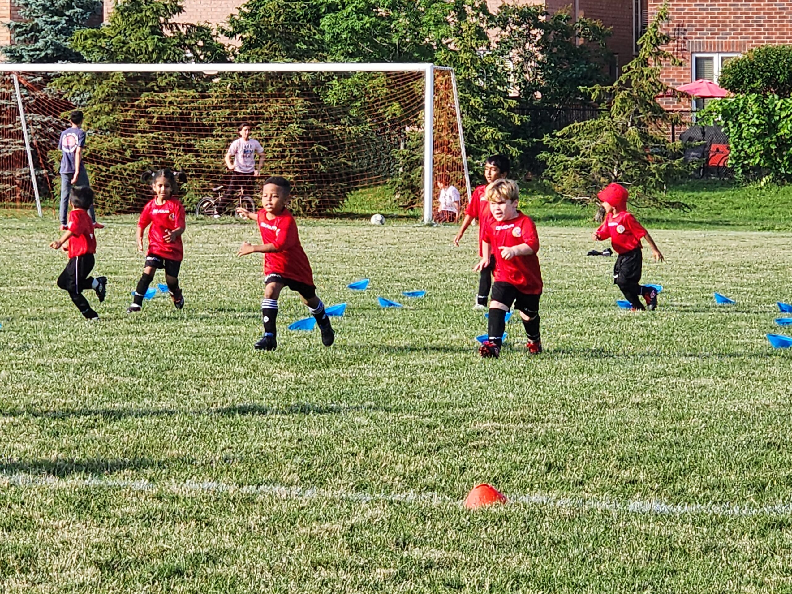 Future Stars Soccer Program for Kids Ages 4–6 at Oakville United FC